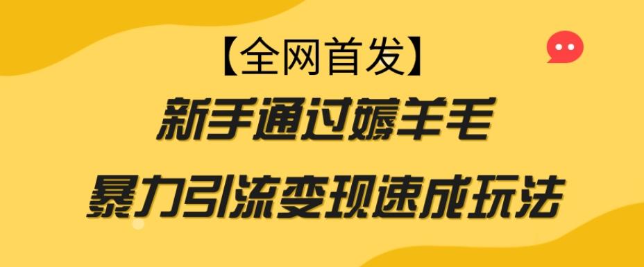 【全网首发】新手通过薅羊毛暴力引流变现速成玩法互联网行业-互联网创业-创业网-知识创造价值 新生无限可能网创星球