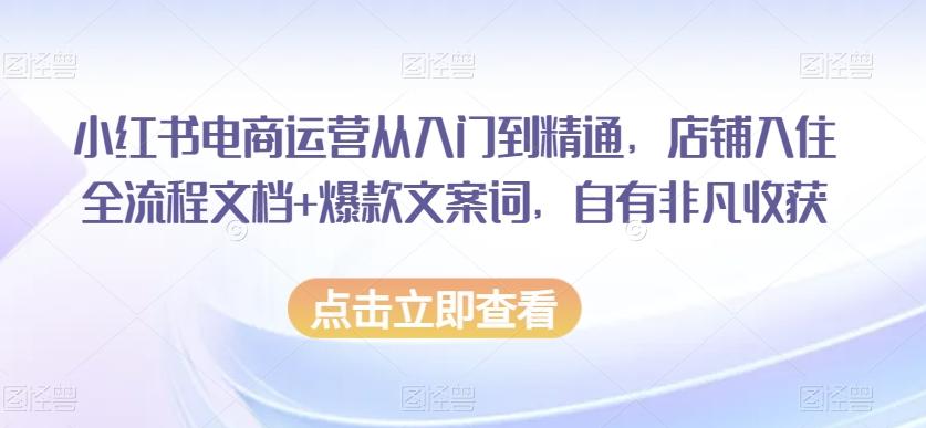 小红书电商运营从入门到精通，店铺入住全流程文档+爆款文案词，自有非凡收获互联网行业-互联网创业-创业网-知识创造价值 新生无限可能网创星球