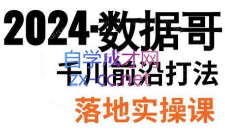 数据哥·2024年千川前沿打法落地实操课互联网行业-互联网创业-创业网-知识创造价值 新生无限可能网创星球