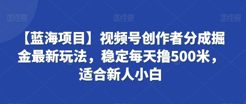 【蓝海项目】视频号创作者分成掘金最新玩法，稳定每天撸500米，适合新人小白【揭秘】互联网行业-互联网创业-创业网-知识创造价值 新生无限可能网创星球