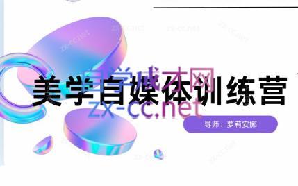 安娜·美学自媒体IP系统课互联网行业-互联网创业-创业网-知识创造价值 新生无限可能网创星球