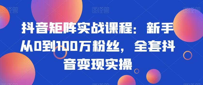 抖音矩阵实战课程：新手从0到100万粉丝，全套抖音变现实操互联网行业-互联网创业-创业网-知识创造价值 新生无限可能网创星球
