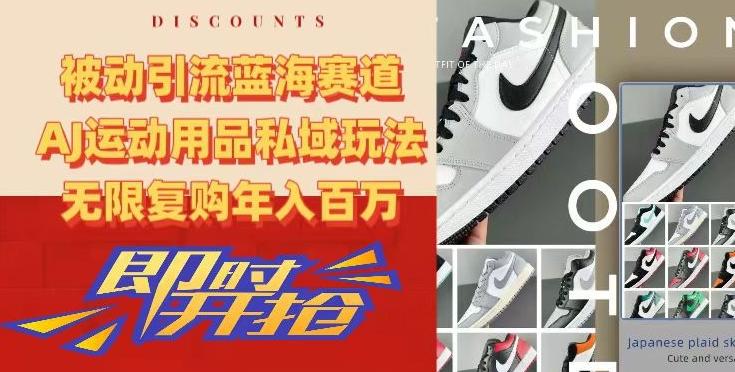 被动引流蓝海赛道，AJ运动用品私域玩法，无限复购年入百万【揭秘】互联网行业-互联网创业-创业网-知识创造价值 新生无限可能网创星球