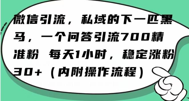 怎么搞精准创业粉？微信新赛道，每天一小时，利用Ai一个问答日引100精准粉互联网行业-互联网创业-创业网-知识创造价值 新生无限可能网创星球