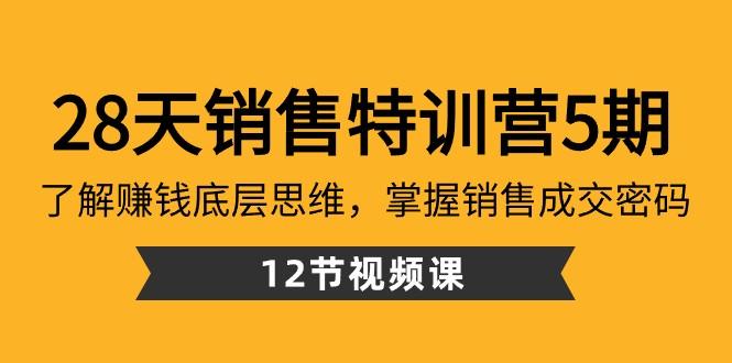28天销售特训营5期：了解赚钱底层思维，掌握销售成交密码（12节课）互联网行业-互联网创业-创业网-知识创造价值 新生无限可能网创星球