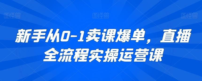 新手从0-1卖课爆单，直播全流程实操运营课互联网行业-互联网创业-创业网-知识创造价值 新生无限可能网创星球