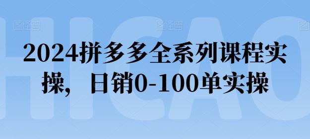 2024拼多多全系列课程实操，日销0-100单实操【必看】互联网行业-互联网创业-创业网-知识创造价值 新生无限可能网创星球