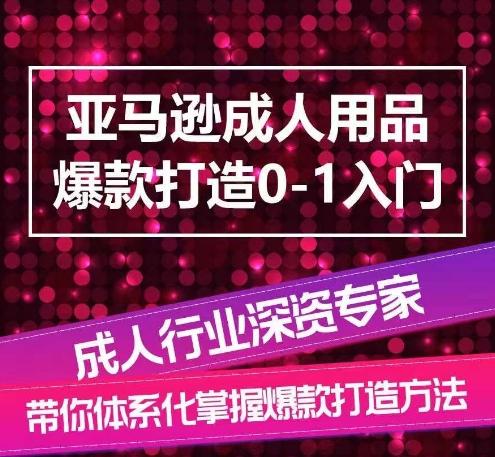 亚马逊成人用品爆款打造0-1入门，系统化讲解亚马逊成人用品爆款打造的流程互联网行业-互联网创业-创业网-知识创造价值 新生无限可能网创星球