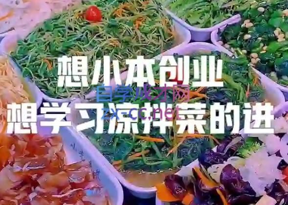 李记·精品凉拌菜系列热卤系列教程互联网行业-互联网创业-创业网-知识创造价值 新生无限可能网创星球