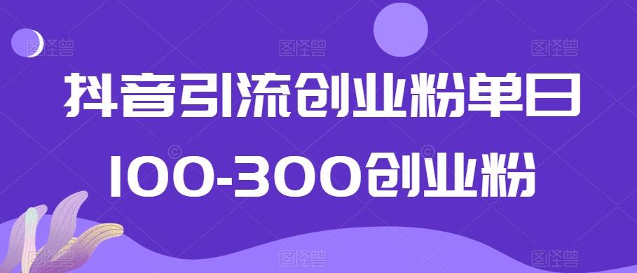 抖音引流创业粉单日100-300创业粉【揭秘】互联网行业-互联网创业-创业网-知识创造价值 新生无限可能网创星球