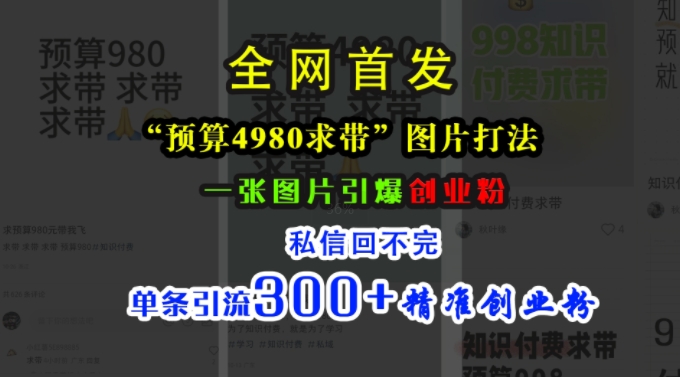 小红书“预算4980带我飞”图片打法，一张图片引爆创业粉，私信回不完，单条引流300+精准创业粉互联网行业-互联网创业-创业网-知识创造价值 新生无限可能网创星球