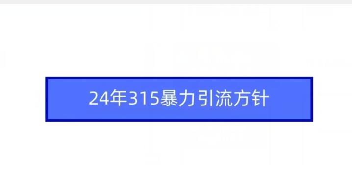 24年315暴力引流方针互联网行业-互联网创业-创业网-知识创造价值 新生无限可能网创星球