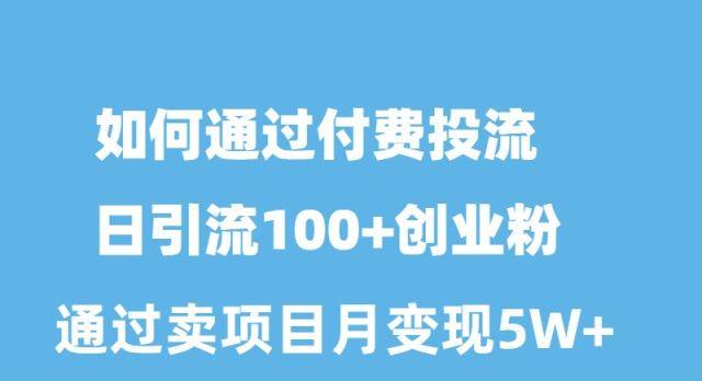 如何通过付费投流日引流100+创业粉月变现5W+互联网行业-互联网创业-创业网-知识创造价值 新生无限可能网创星球
