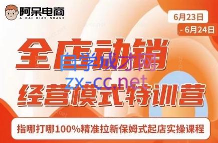阿呆电商·全店动销经营模式特训营(线下录音+思维导图)互联网行业-互联网创业-创业网-知识创造价值 新生无限可能网创星球