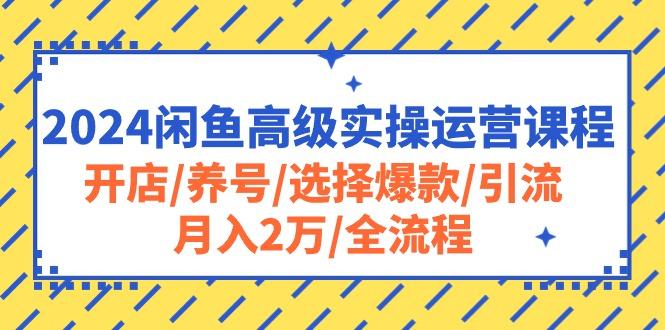 2024闲鱼高级实操运营课程：开店/养号/选择爆款/引流/月入2万/全流程互联网行业-互联网创业-创业网-知识创造价值 新生无限可能网创星球