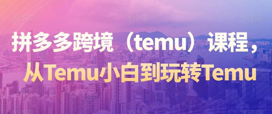 拼多多跨境（temu）课程，从Temu小白到玩转Temu互联网行业-互联网创业-创业网-知识创造价值 新生无限可能网创星球