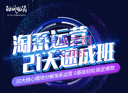 淘系运营21天速成班(更新7月)互联网行业-互联网创业-创业网-知识创造价值 新生无限可能网创星球