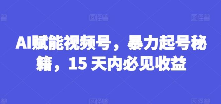 AI赋能视频号，暴力起号秘籍，15 天内必见收益【揭秘】互联网行业-互联网创业-创业网-知识创造价值 新生无限可能网创星球