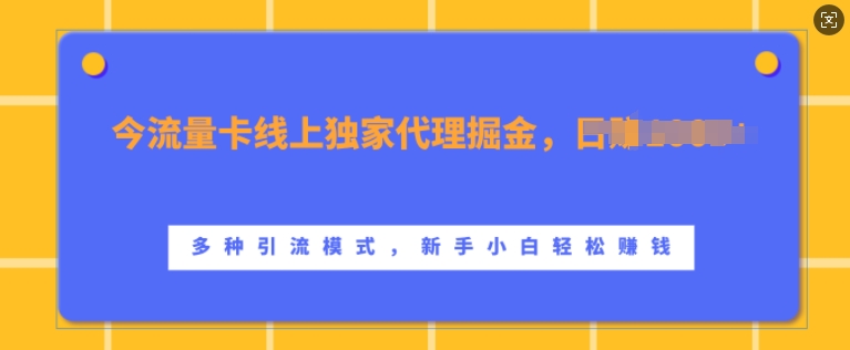 流量卡线上独家代理掘金，日入1k+ ，多种引流模式，新手小白轻松上手【揭秘】互联网行业-互联网创业-创业网-知识创造价值 新生无限可能网创星球