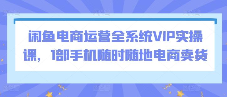闲鱼电商运营全系统VIP实操课，1部手机随时随地电商卖货互联网行业-互联网创业-创业网-知识创造价值 新生无限可能网创星球