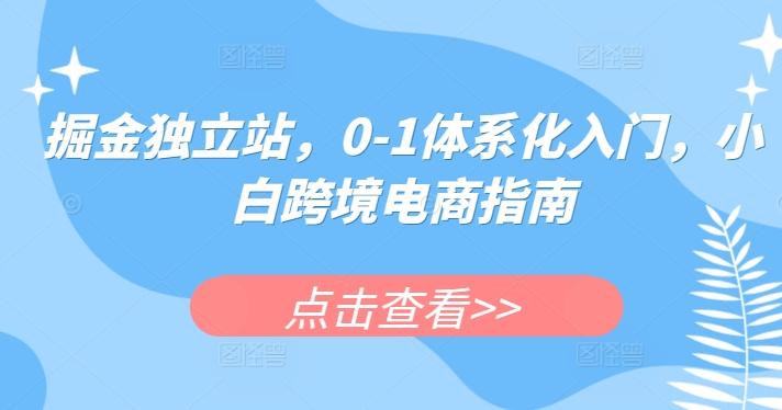 掘金独立站，0-1体系化入门，小白跨境电商指南互联网行业-互联网创业-创业网-知识创造价值 新生无限可能网创星球