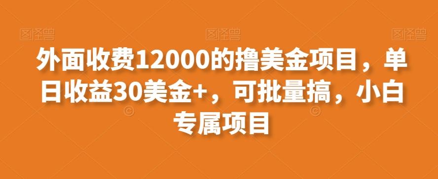 外面收费12000的撸美金项目，单日收益30美金+，可批量搞，小白专属项目互联网行业-互联网创业-创业网-知识创造价值 新生无限可能网创星球