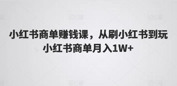 小红书商单赚钱课，从刷小红书到玩小红书商单月入1W+互联网行业-互联网创业-创业网-知识创造价值 新生无限可能网创星球