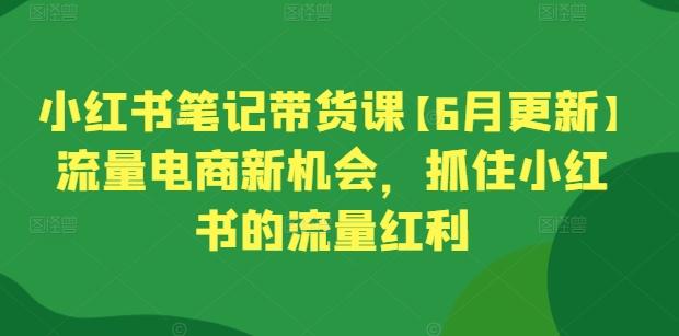 小红书笔记带货课【6月更新】流量电商新机会，抓住小红书的流量红利互联网行业-互联网创业-创业网-知识创造价值 新生无限可能网创星球