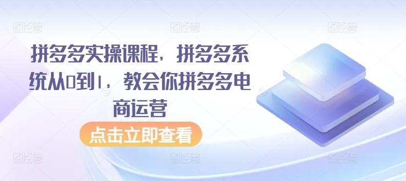 拼多多实操课程，拼多多系统从0到1，教会你拼多多电商运营互联网行业-互联网创业-创业网-知识创造价值 新生无限可能网创星球