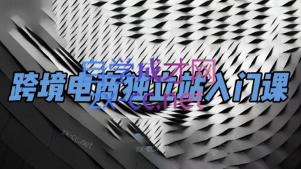 团长·跨境电商独立站入门课(2小时精华)互联网行业-互联网创业-创业网-知识创造价值 新生无限可能网创星球