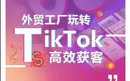 外贸工厂玩转TikTok高效获客，多种引流方式与账号定位技巧，拆解爆款短视频打造成功案例互联网行业-互联网创业-创业网-知识创造价值 新生无限可能网创星球