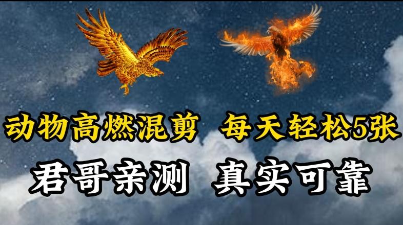 动物超燃混剪，每天轻松5张，剪辑简单大家爱看【揭秘】互联网行业-互联网创业-创业网-知识创造价值 新生无限可能网创星球
