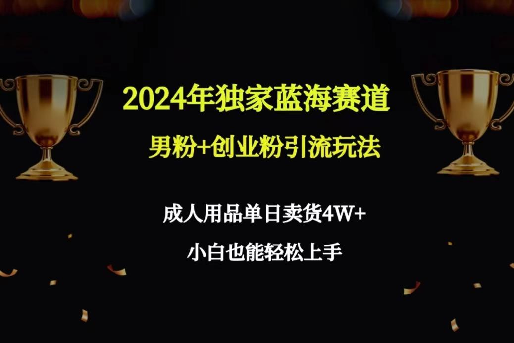 2024年独家蓝海赛道男粉+创业粉引流玩法，成人用品单日卖货4W+保姆教程互联网行业-互联网创业-创业网-知识创造价值 新生无限可能网创星球