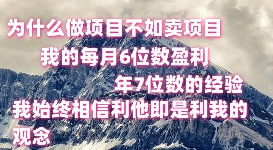 做项目不如卖项目，每月6位数盈利，年7位数经验互联网行业-互联网创业-创业网-知识创造价值 新生无限可能网创星球