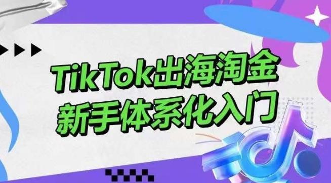 TikTok出海淘金，新手体系化入门，零基础快速入门，掌握短视频、直播带货等引流到变现的知识互联网行业-互联网创业-创业网-知识创造价值 新生无限可能网创星球