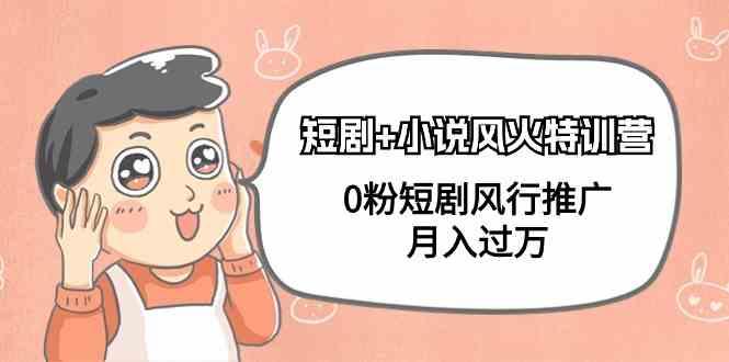 小说+短剧风火特训营，0粉短剧小说风行推广，实现月入过万互联网行业-互联网创业-创业网-知识创造价值 新生无限可能网创星球